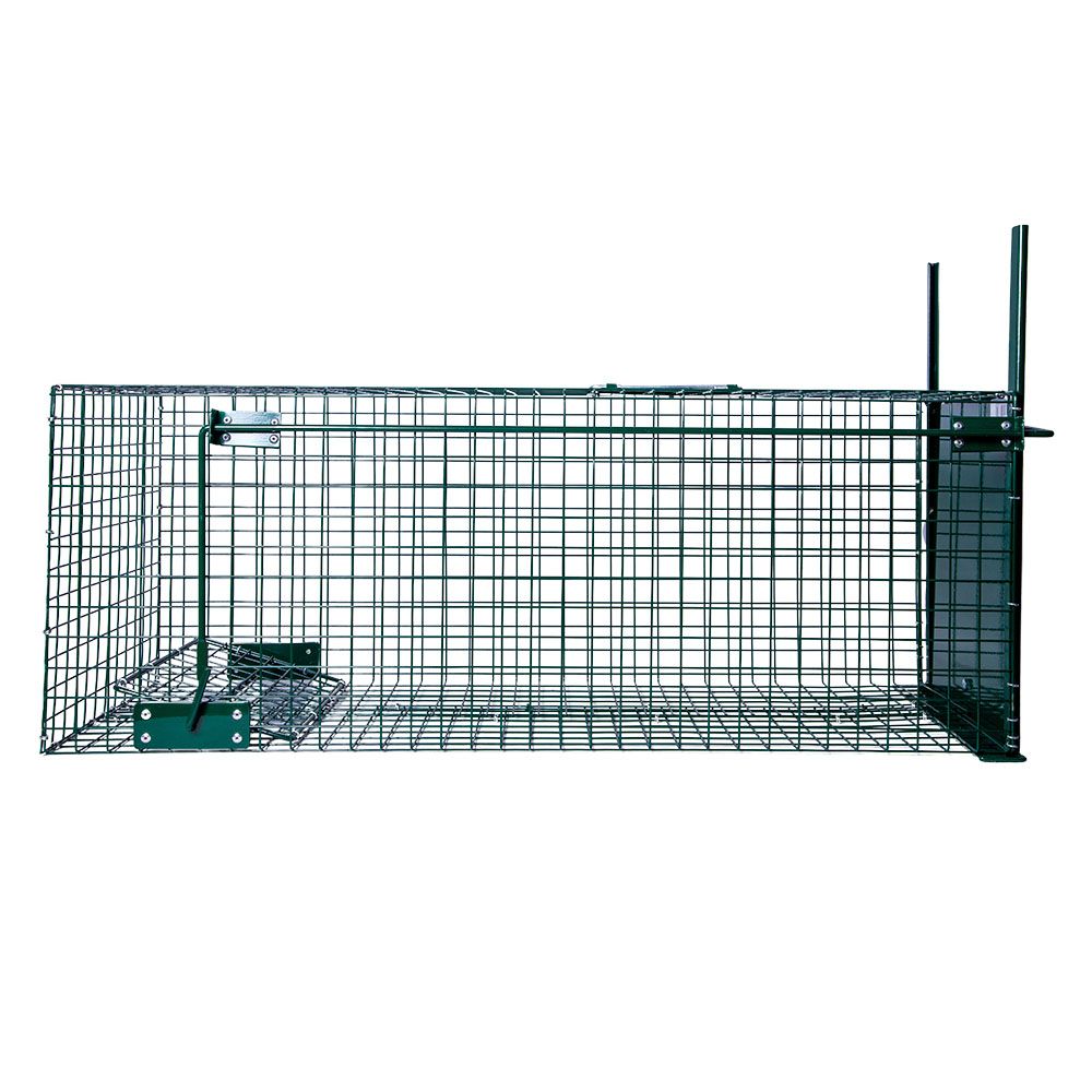  Boîte à fauve 1 entrée, 82 x 32 x 31 cm BOXTRAP