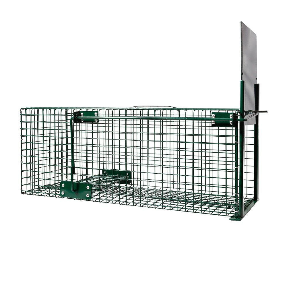 Boîte à fauve 1 porte, 62 x 21 x 21 cm BOXTRAP