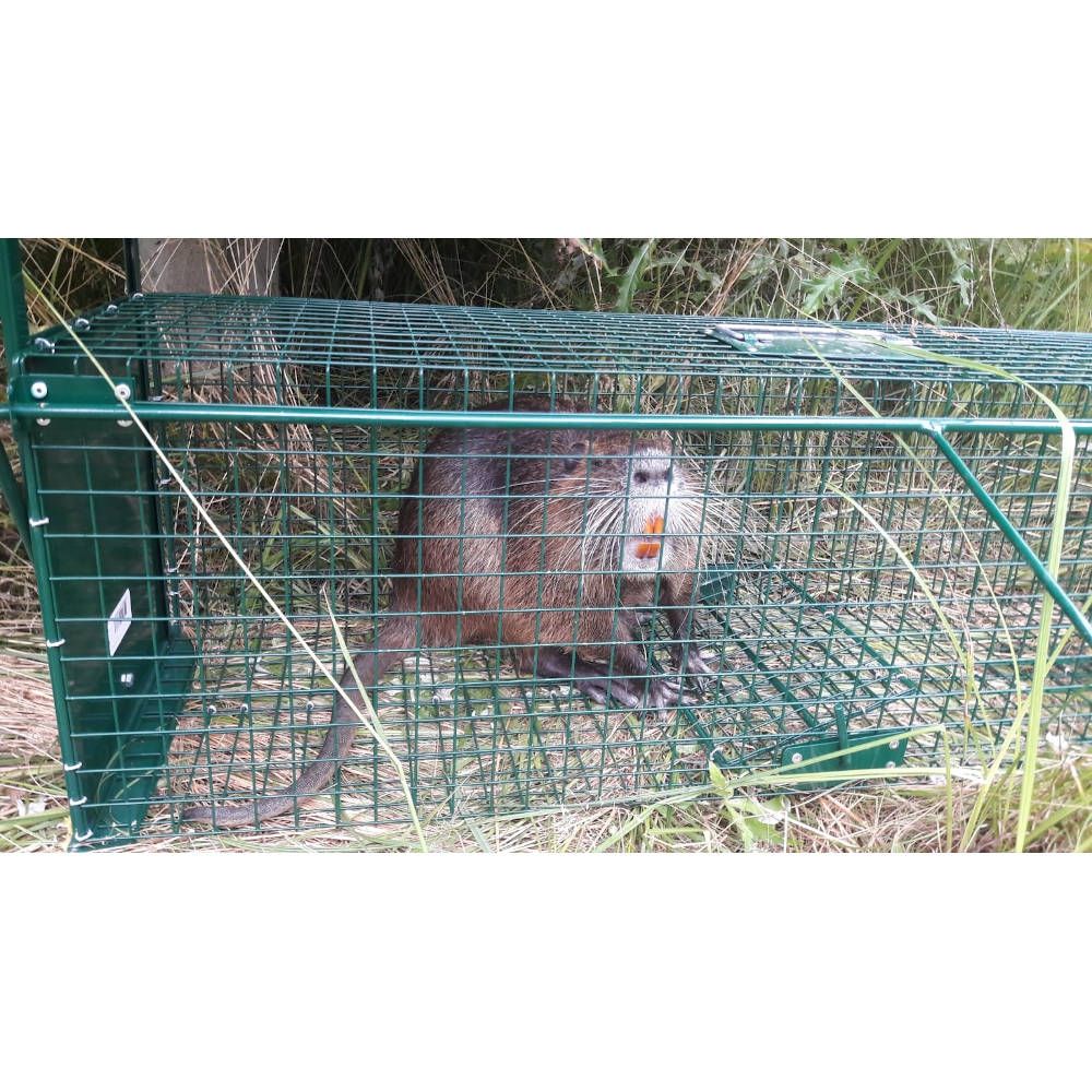 Boîte à fauve 2 portes, 103 x 31 x 31 cm BOXTRAP