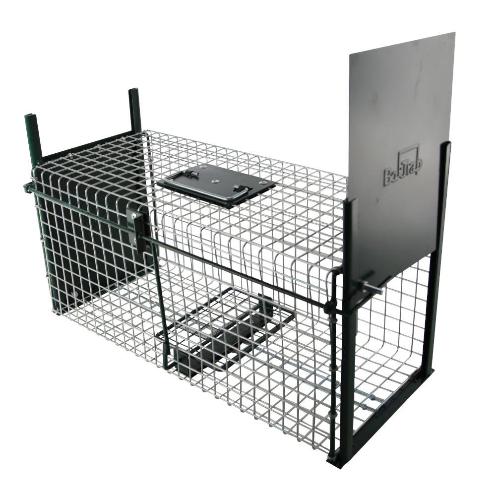 Cage à rats avec glissière, 2 entrées, 50 x 20 x 20 cm - BOXTRAP - Coffia