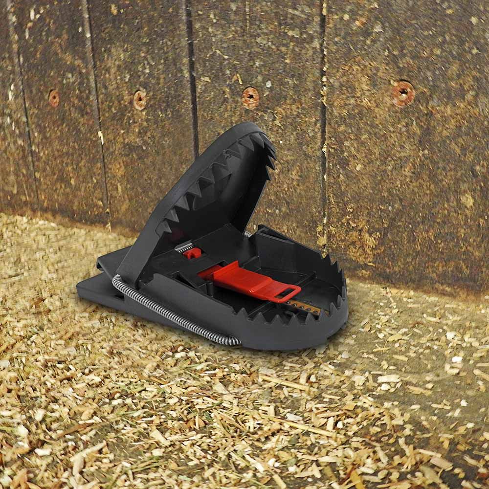 4 pièges à rats SUPERCAT PRO - SWISSINNO