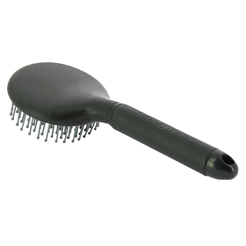 Brosse à crinière noire 