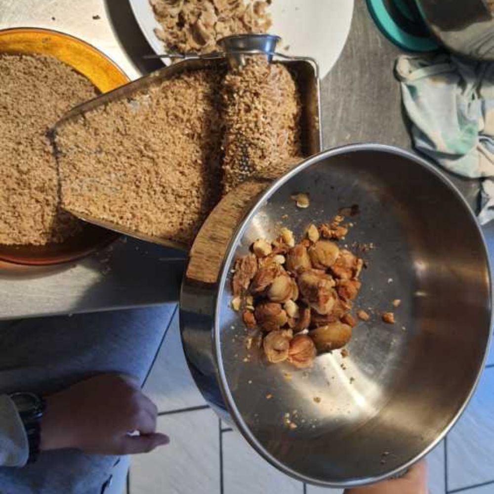 Epépineuse presse tomate et fruit manuel n°3 en inox REBER