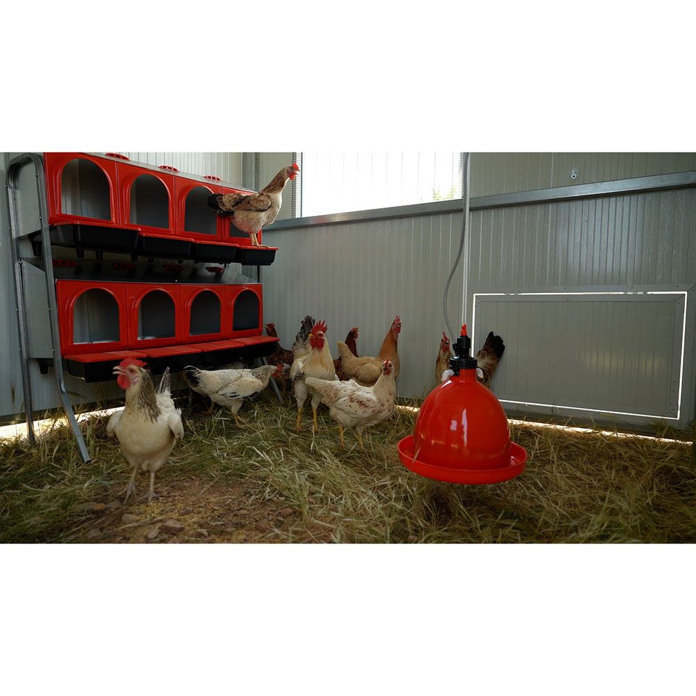 Poulailler mobile 11 m² pour 100 poules COPELE