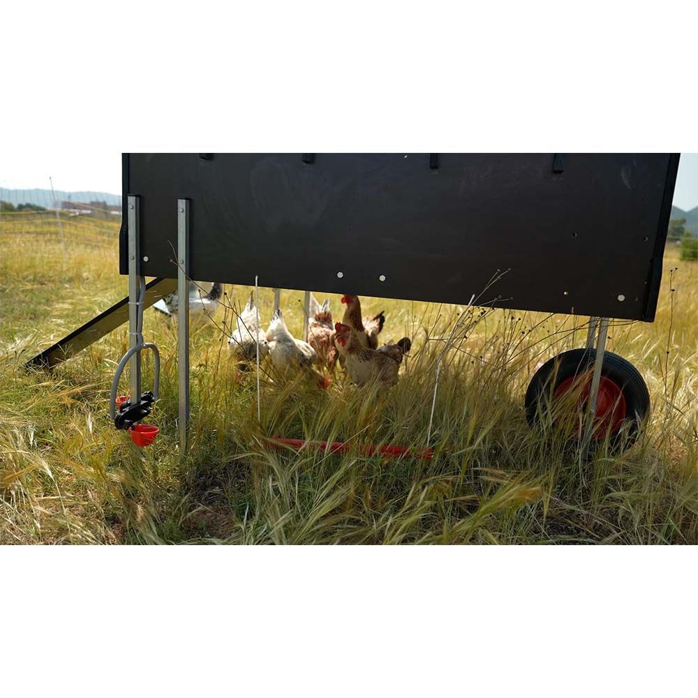 Poulailler mobile pour 10 poules