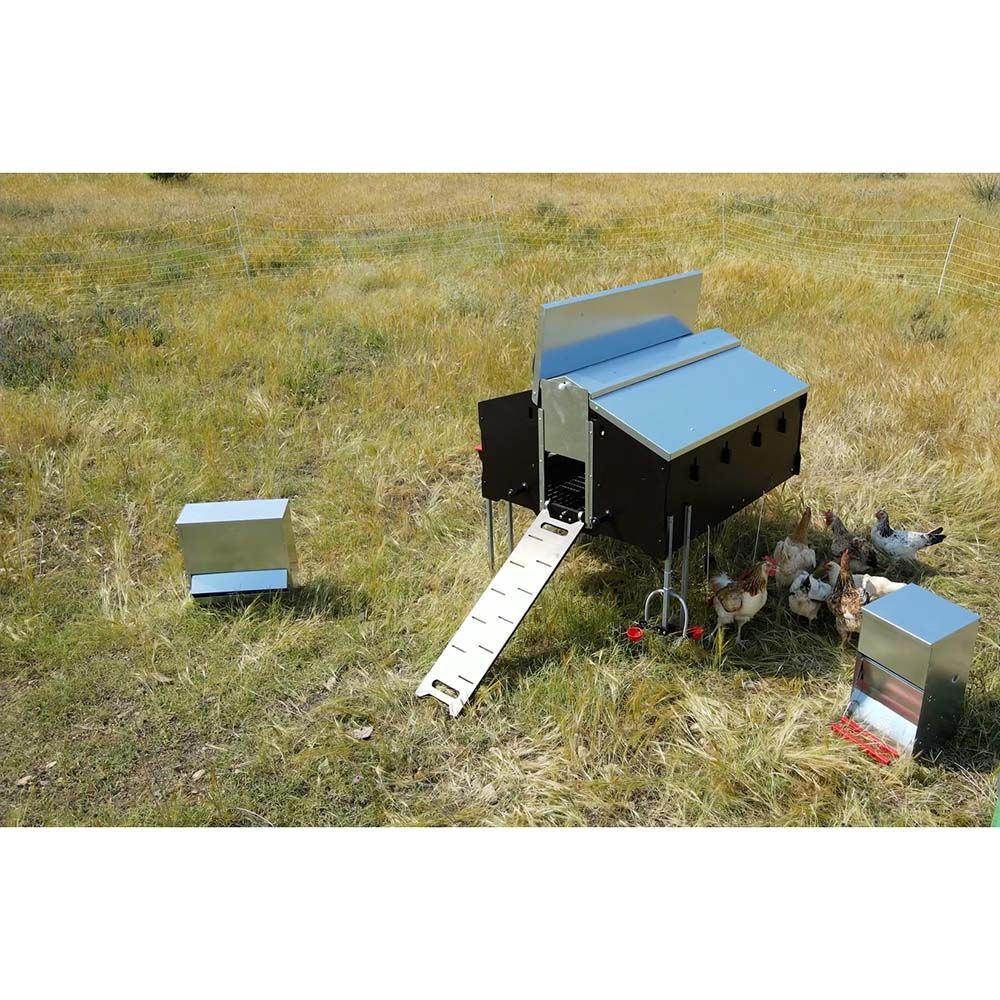 Poulailler pour 10 poules