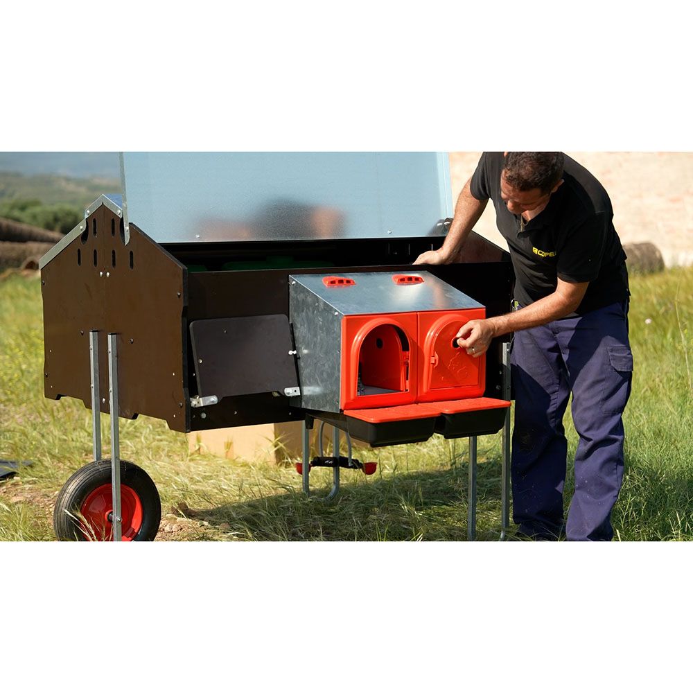 Poulailler mobile pour 10 poules