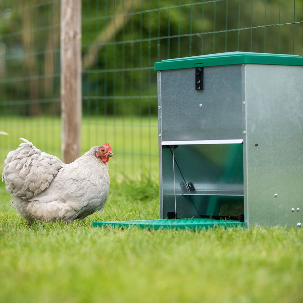 Mangeoire renforcée 12 kg, anti-rats pour 6 poules
