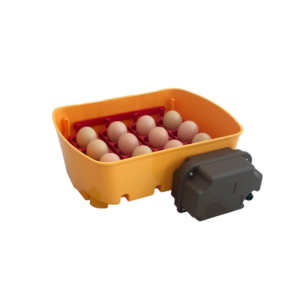 Couveuse automatique 12 œufs RIVER by CHICK'A