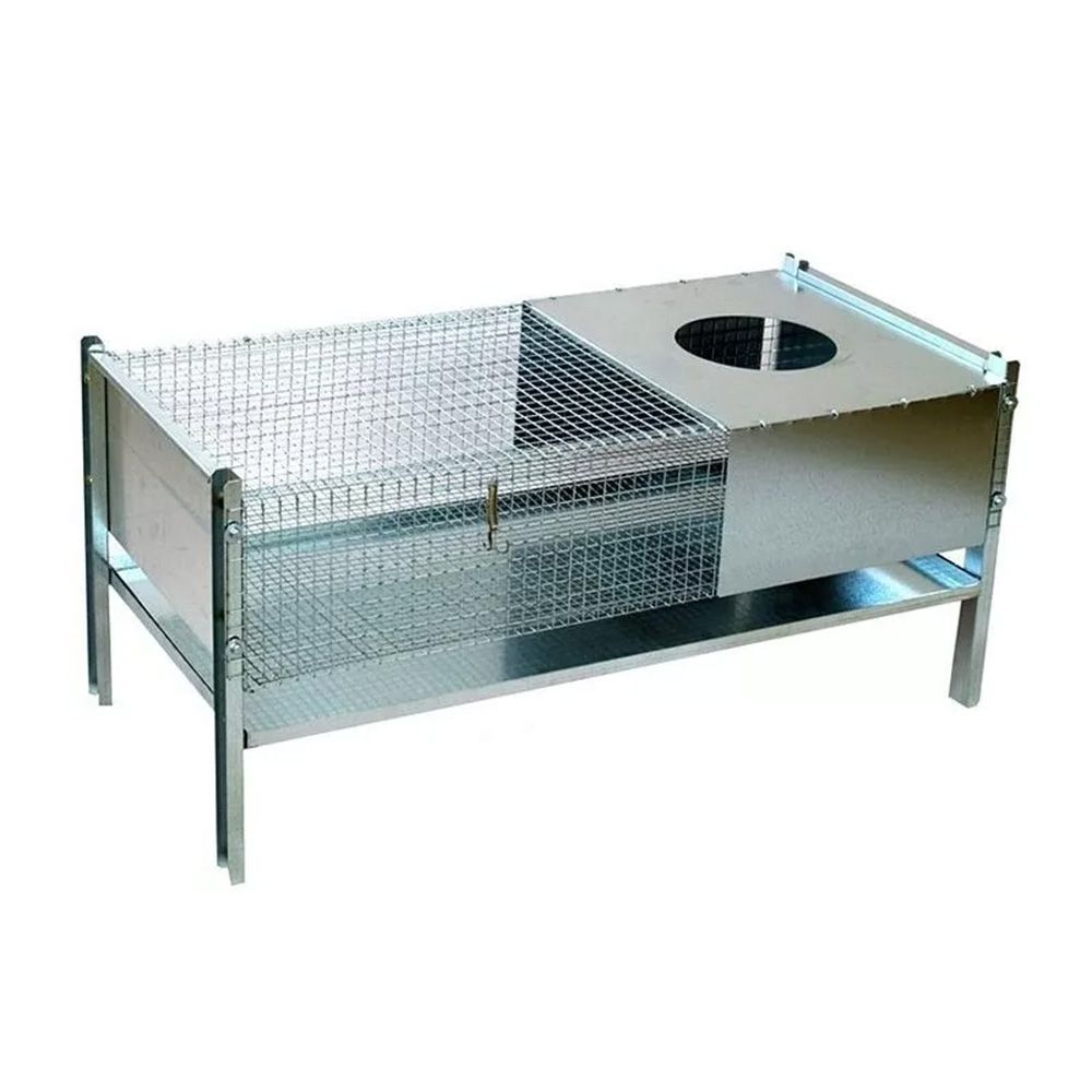 Cage d'élevage pour poussins et cailles