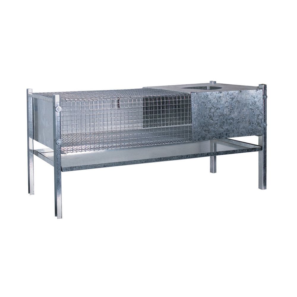 Cage d'élevage pour poussins et cailles