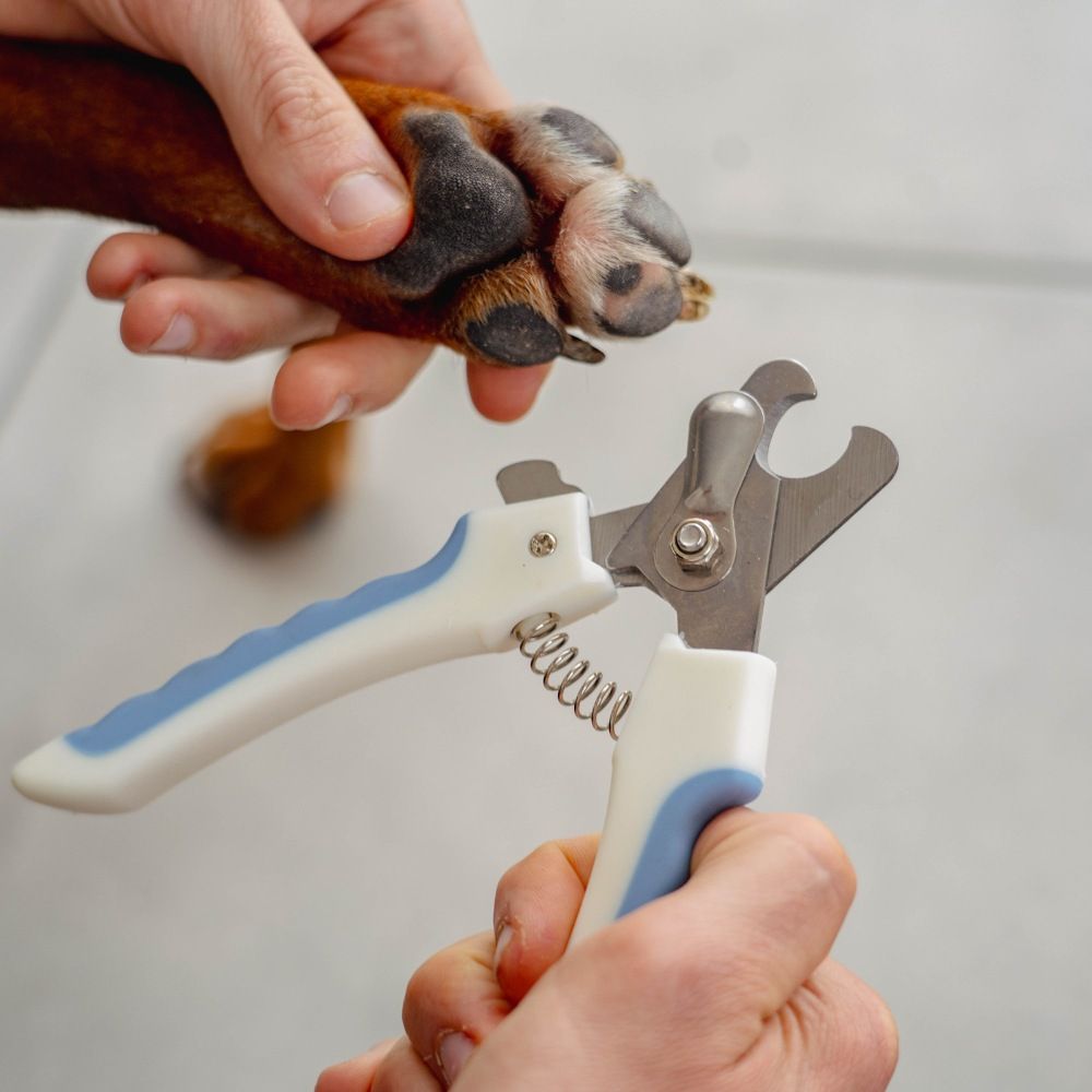 Coupe-griffes pour chien et chat PURALIA