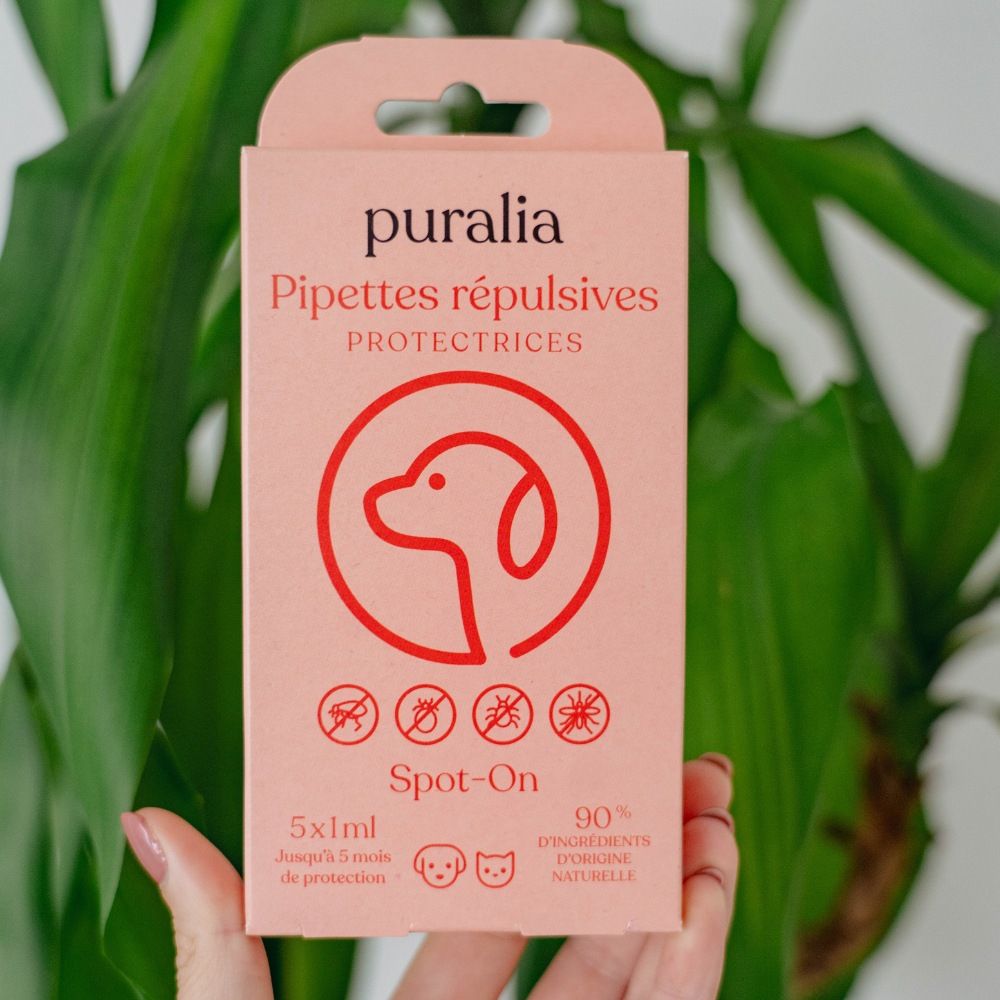 5 pipettes répulsives Spot-on 1 ml PURALIA
