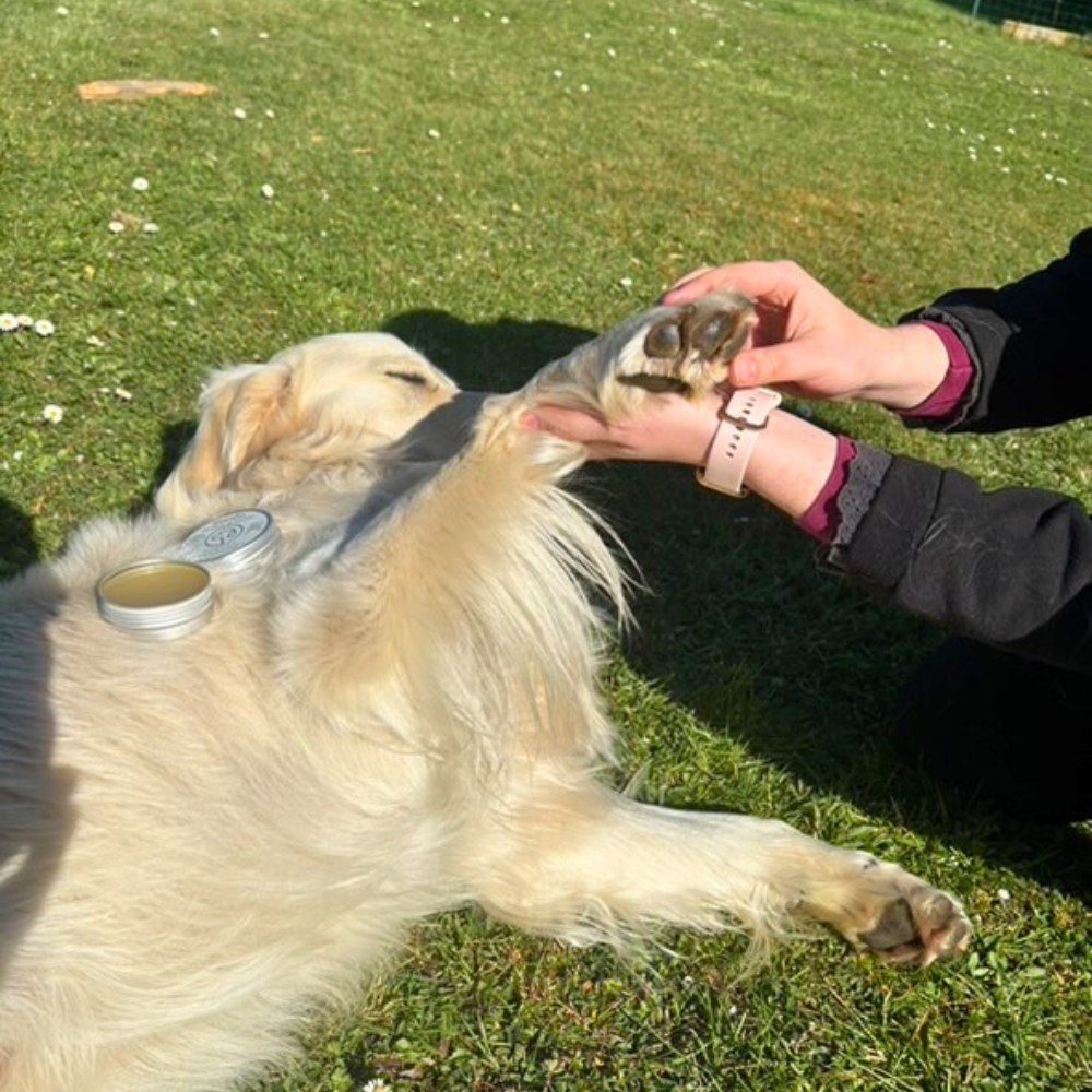 Baume truffe et coussinets 50 ml PURALIA