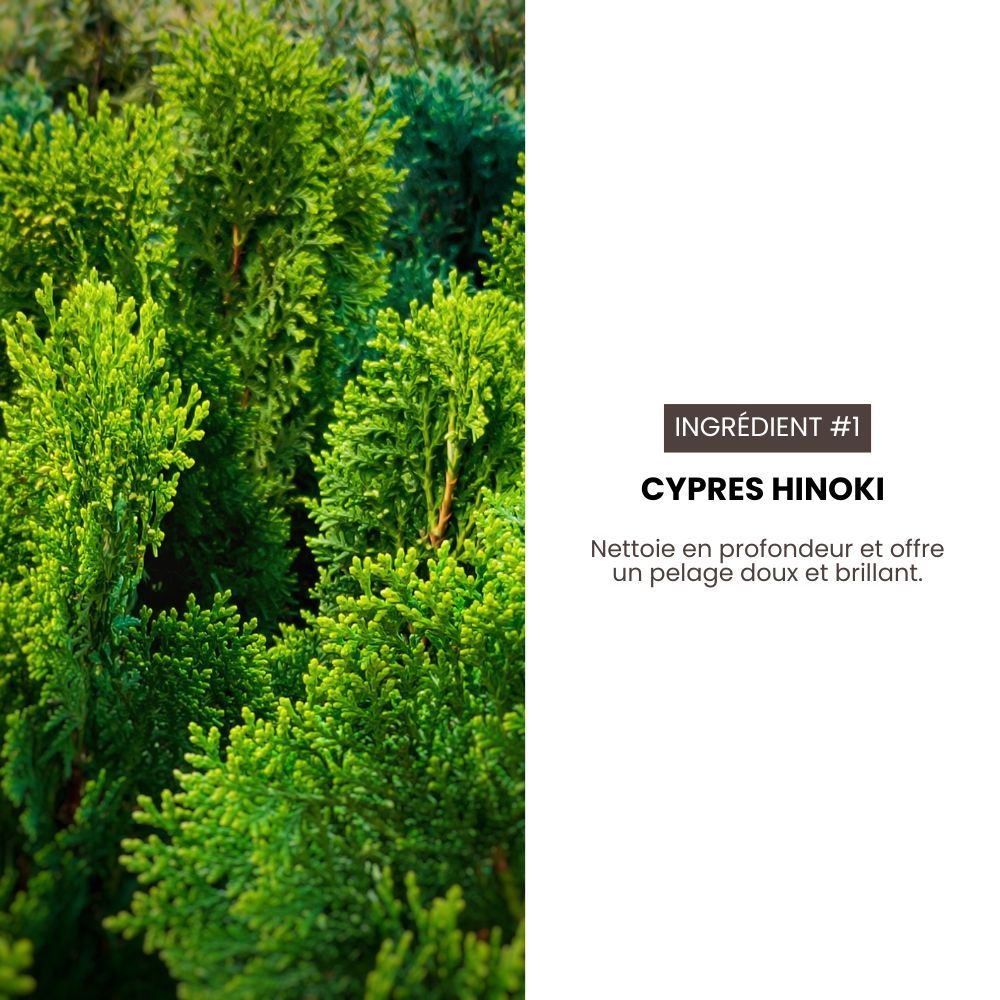 Shampoing sec hypoallergénique pour chiens et chats 190 ml HYPONIC