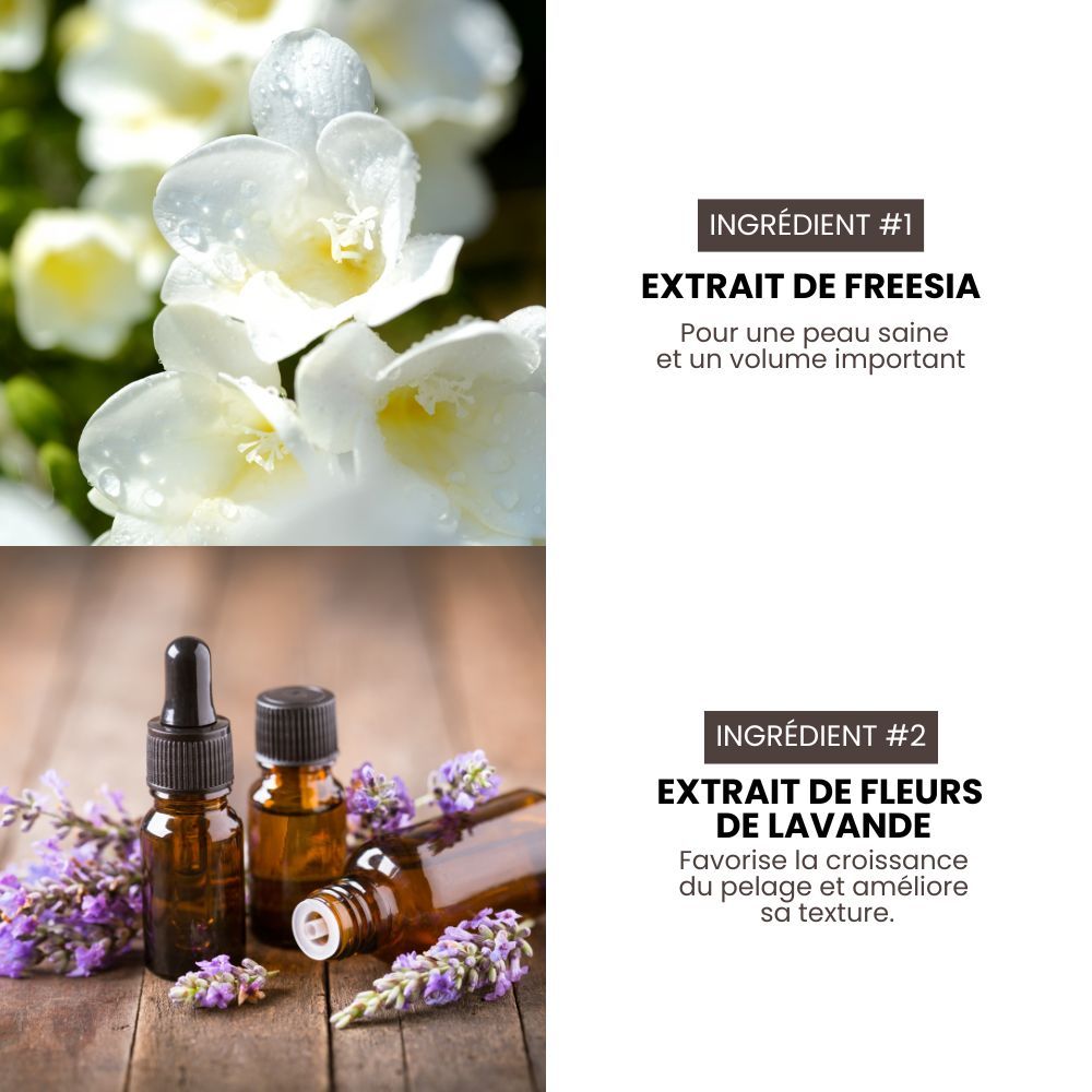 Shampoing volume pro hypoallergénique Premium Grooming Artist pour chiens 3,8 L spécial HYPONIC