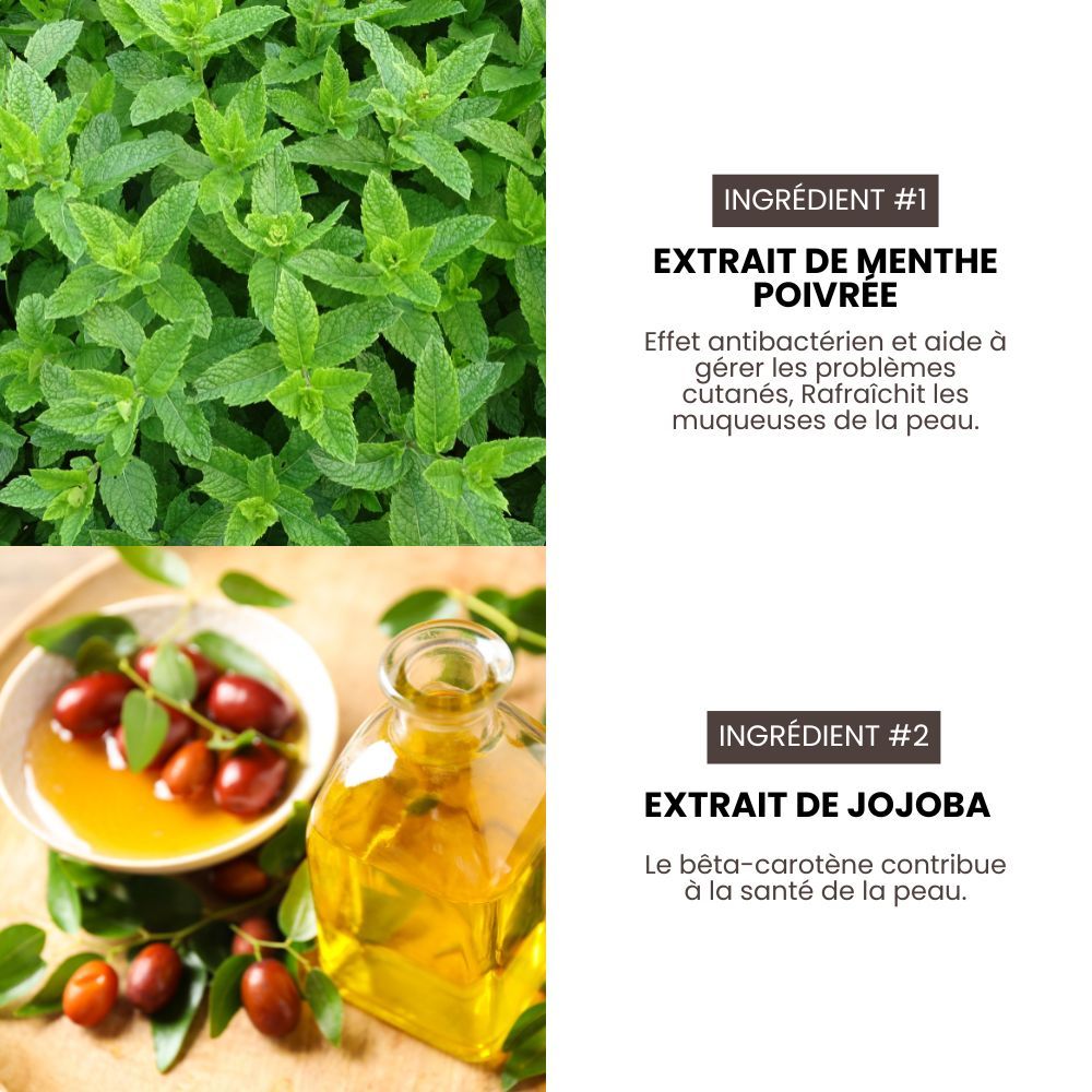 Shampoing pro nettoyant et volume pour chiens 3,8 L HYPONIC