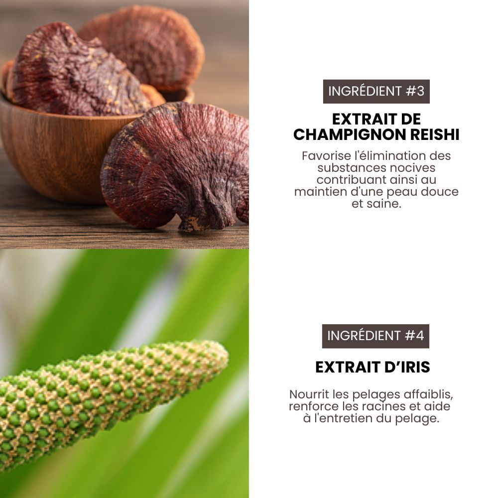 Après-shampoing pro nettoyant et volume pour chiens 3,8 L HYPONIC