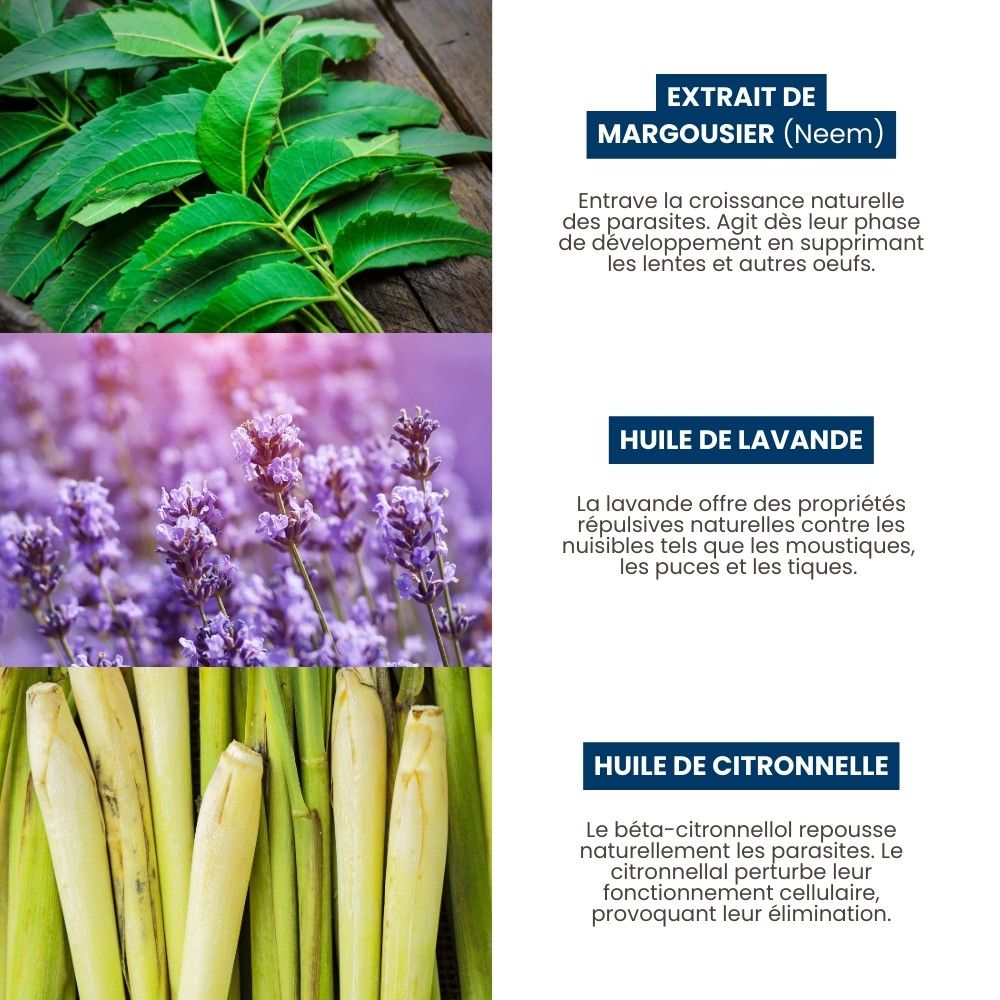 5 pipettes répulsives Spot-on 1 ml PURALIA