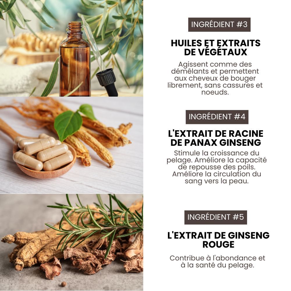 Shampoing pro nettoyant et volume pour chiens de concours 3,8 L HYPONIC