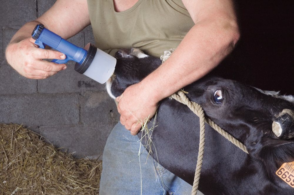 Pistolet doseur 300 ml polypropylène