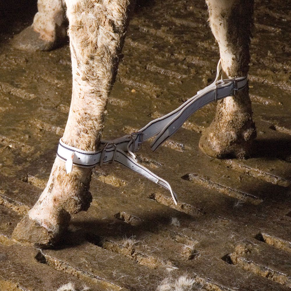 Entrave en nylon triple réglage