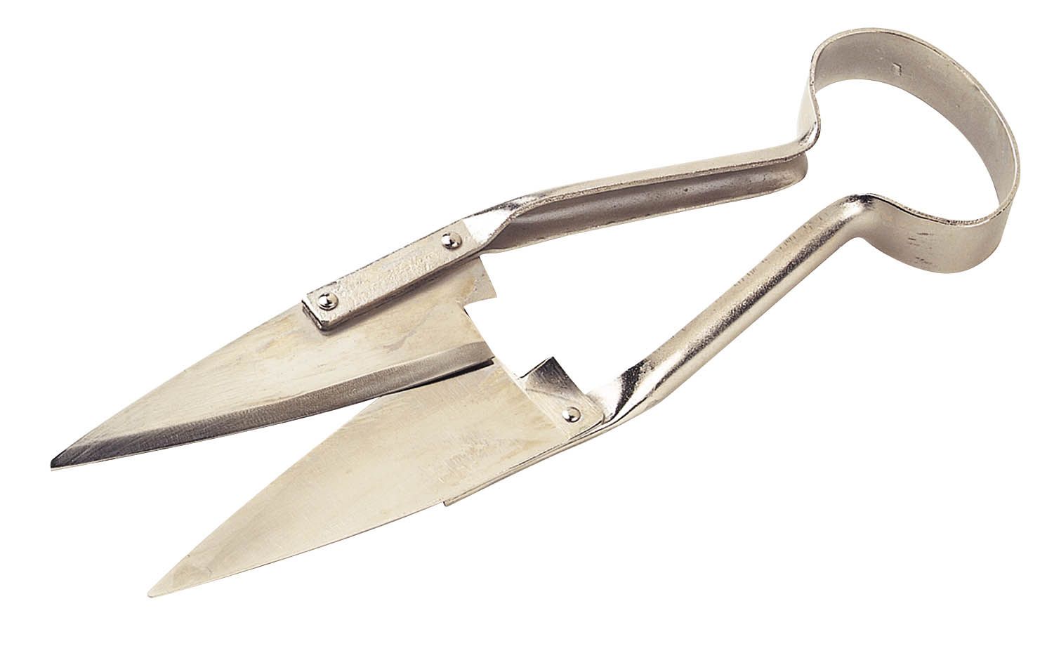 Force à tondre nickelé grand modèle