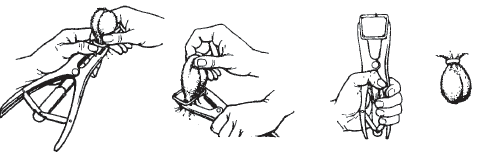 Anneau de gomme Elastrator, boîte de 500