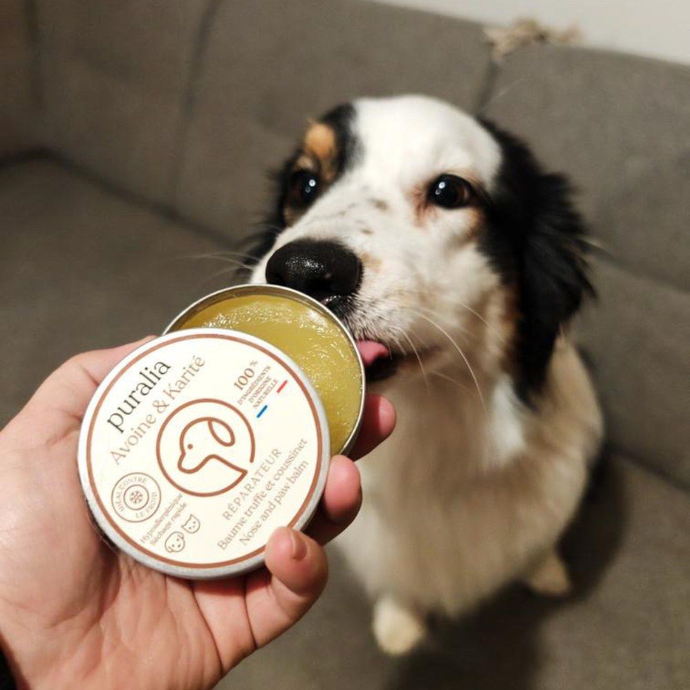 Baume truffe et coussinets 50 ml PURALIA