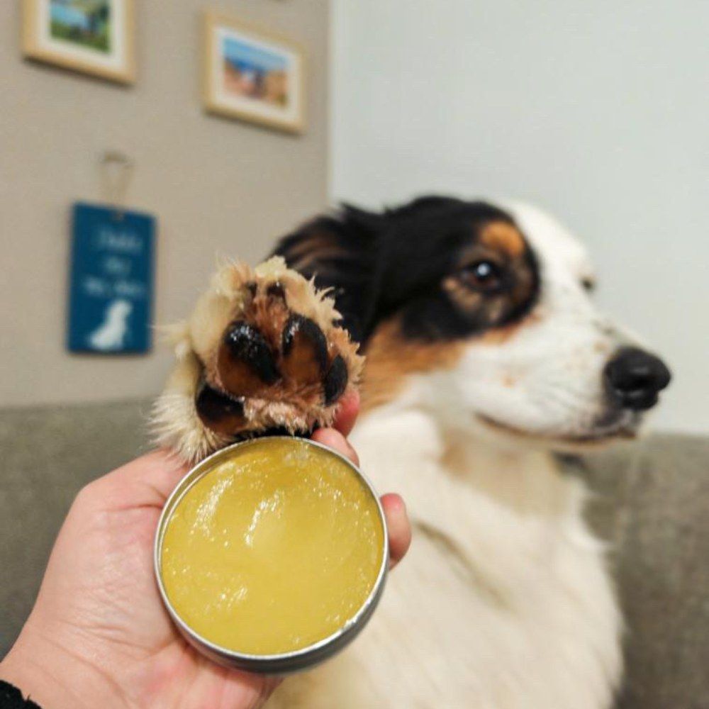 Baume truffe et coussinets 50 ml PURALIA