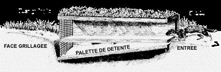 Belletière en bois - 49 x 6 x 8 cm BOXTRAP