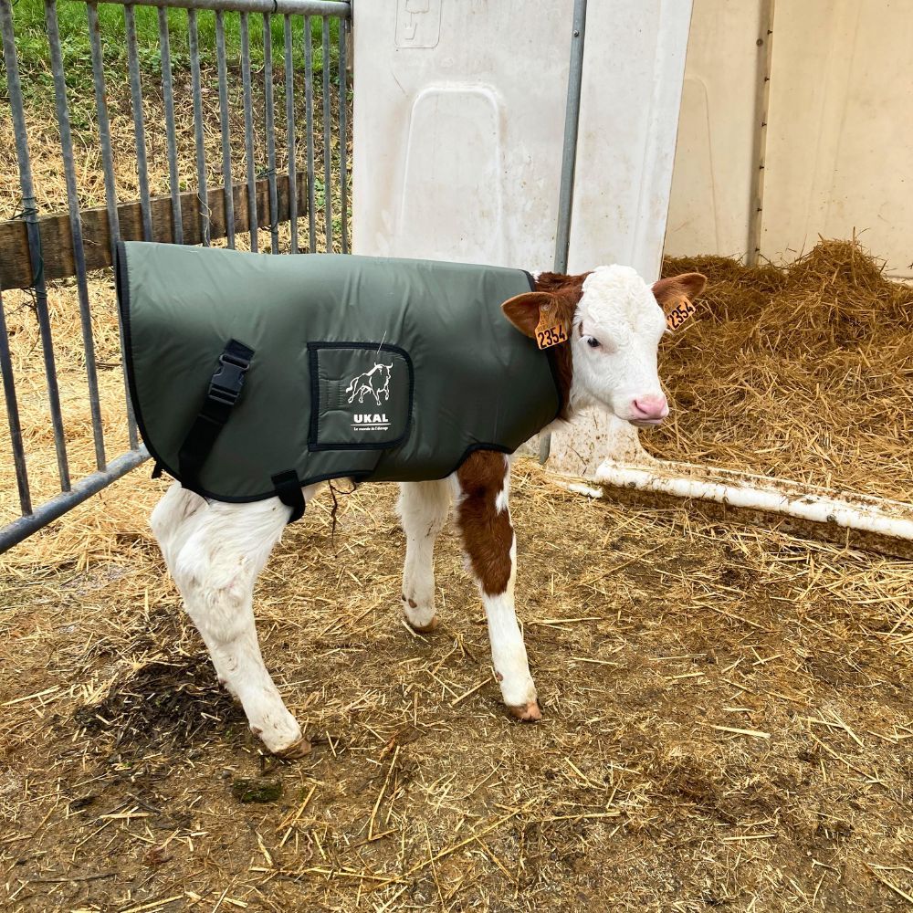 Couverture pour veau UKAL