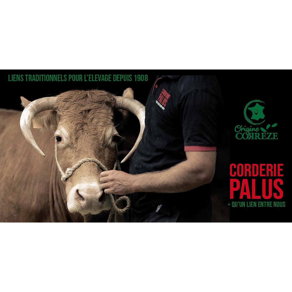 Licol orange en polypropylène Ø 16 mm, 3.5 m