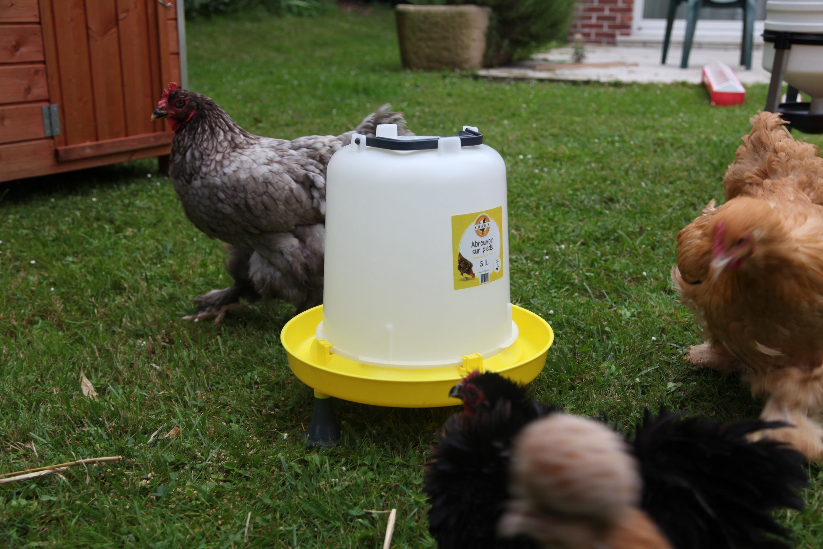 Abreuvoir sur pied 5L CHICK'A