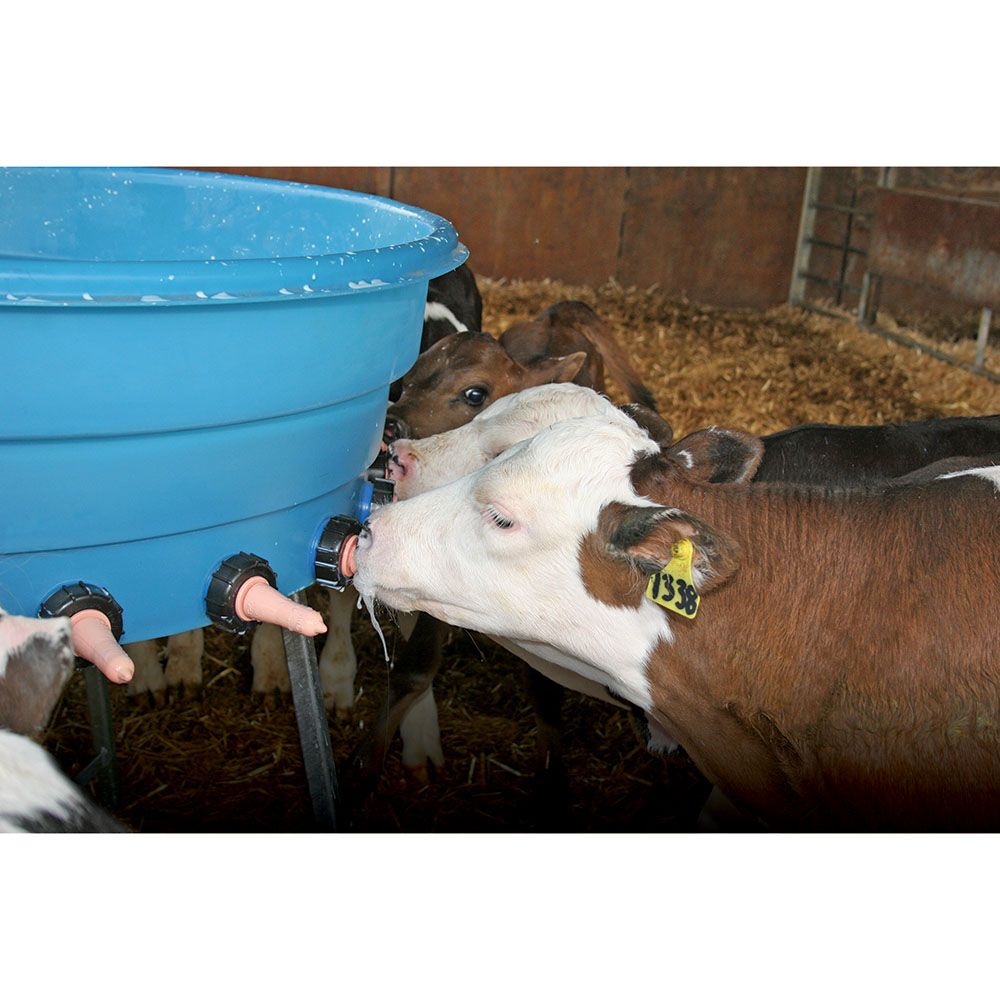  Bac d'allaitement non-compartimenté FC10 10 places 80L STALLION