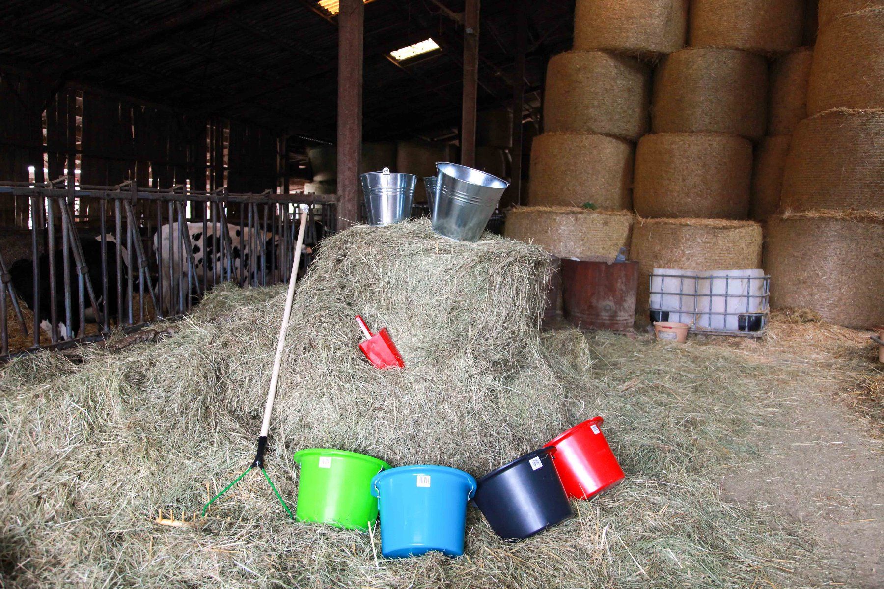 Mangeoire turquoise avec anse et crochets de suspension