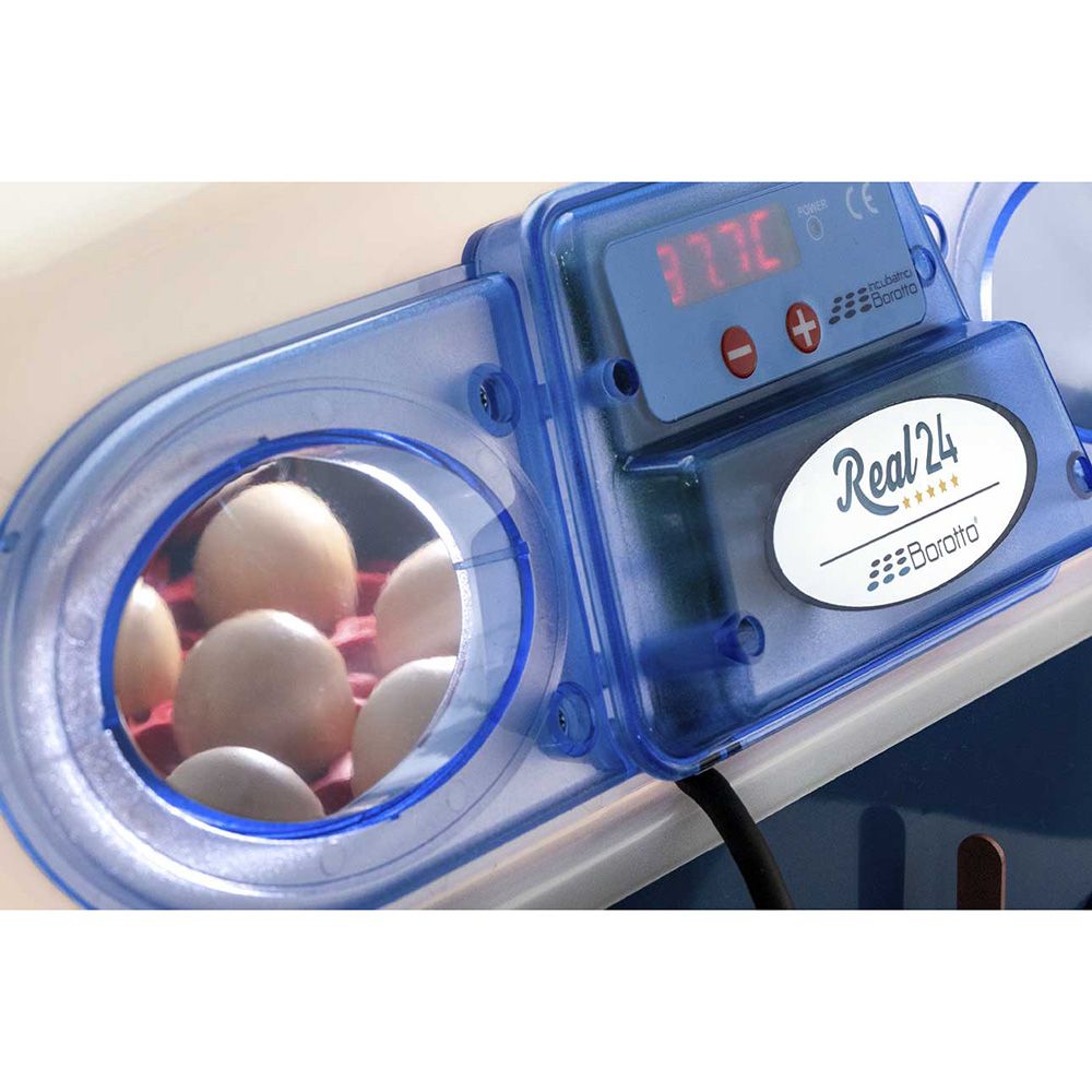 Couveuse REAL 24 œufs BOROTTO semi-automatique