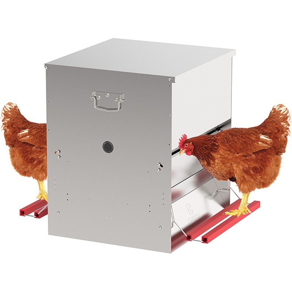Mangeoire Poule Anti-Nuisible 5Kg