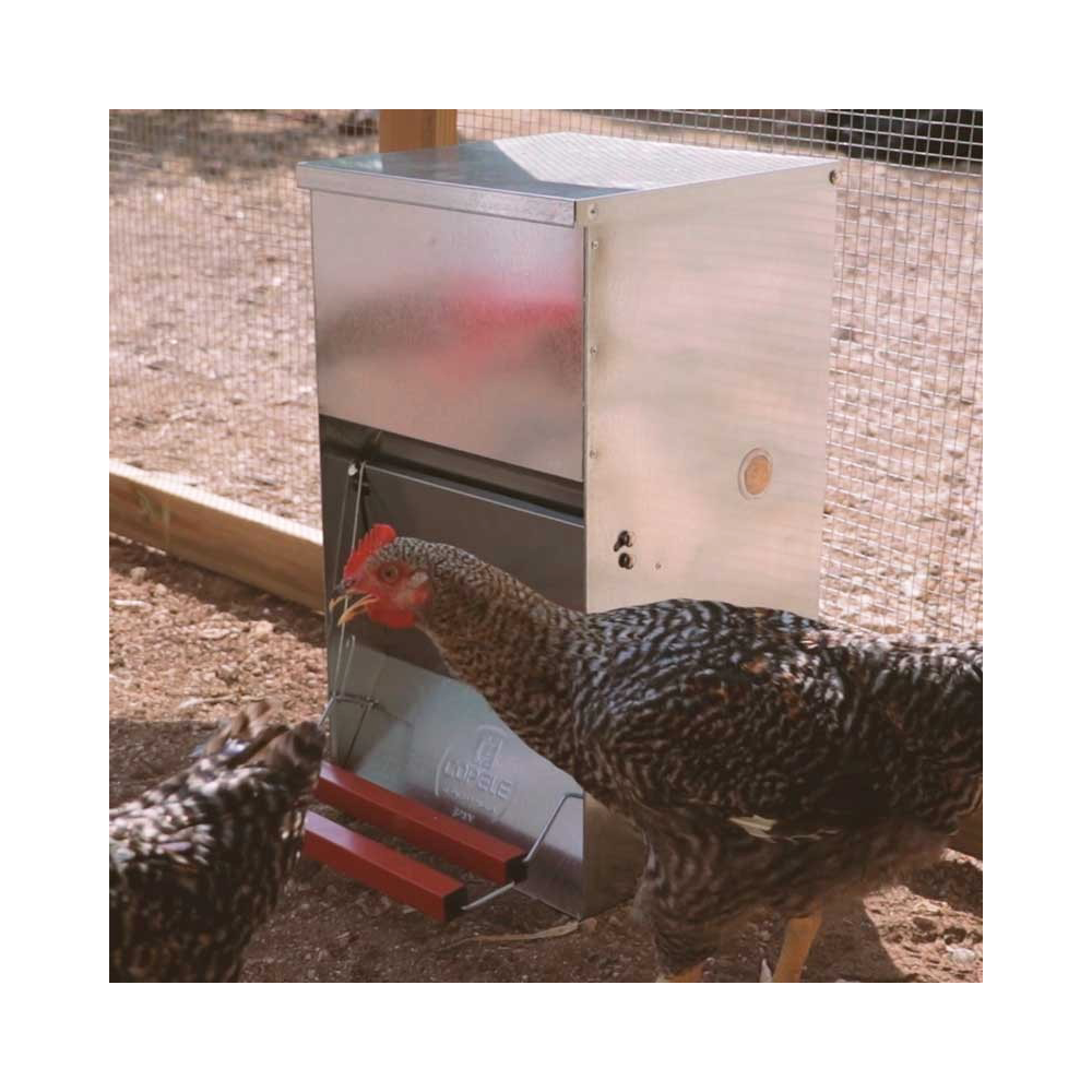 Mangeoire anti-nuisibles 40 kg pour 20 poules