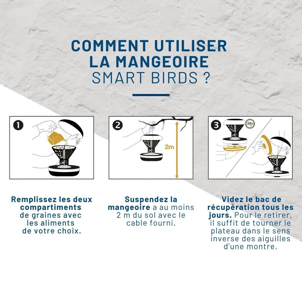 Mangeoire anti-nuisibles SMART BIRDS pour oiseaux grise SWISSINNO