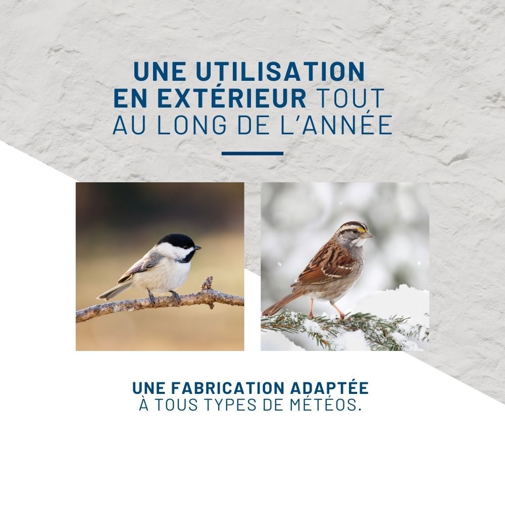 Mangeoire anti-nuisibles SMART BIRDS pour oiseaux verte SWISSINNO