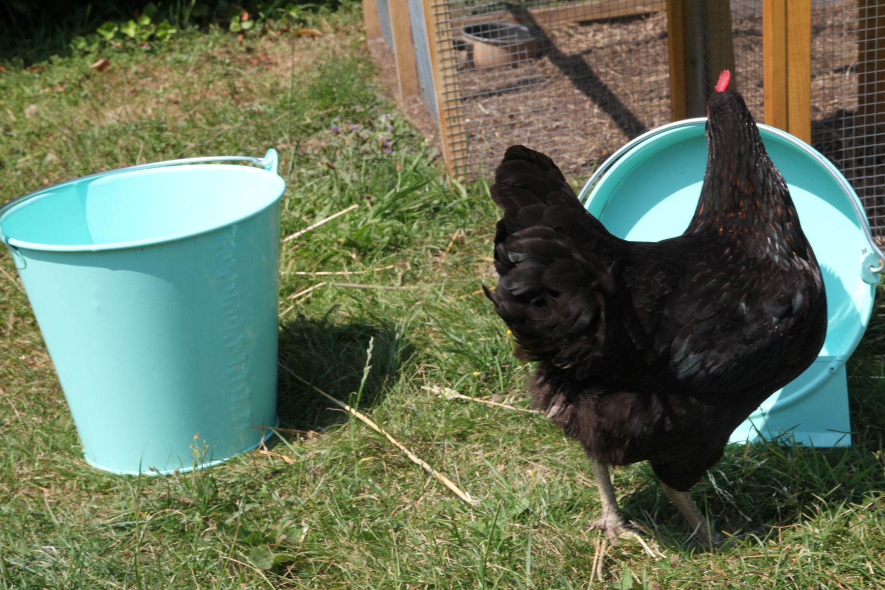 Seau 12 L vert d'eau 