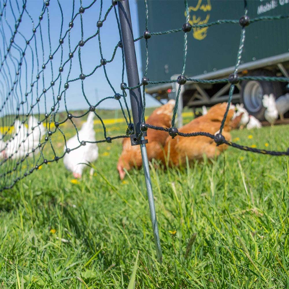 Filet volaille électrifiable, 1.20 x  50 m