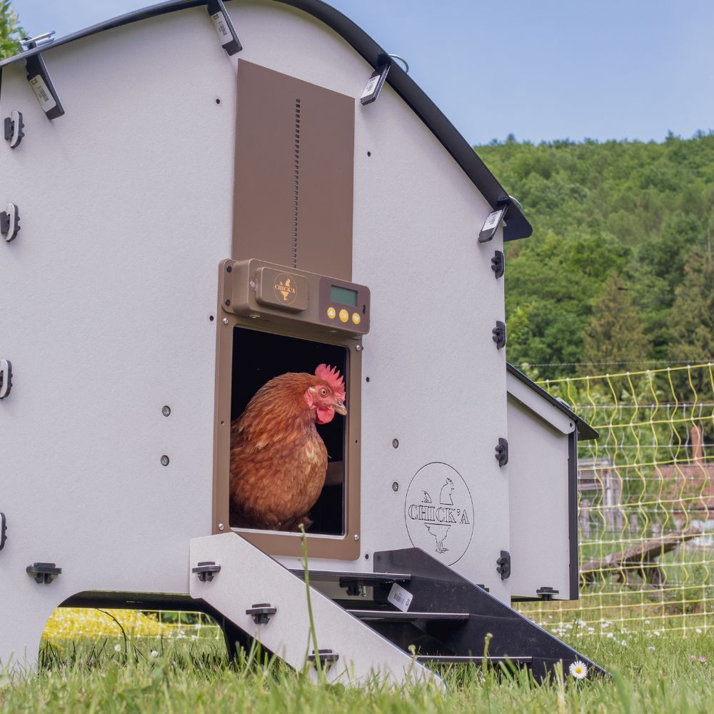 Poulailler 6 poules Harmony en plastique recyclé