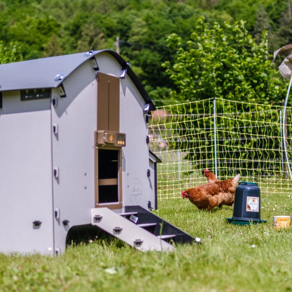 Poulailler 6 poules Harmony en plastique recyclé