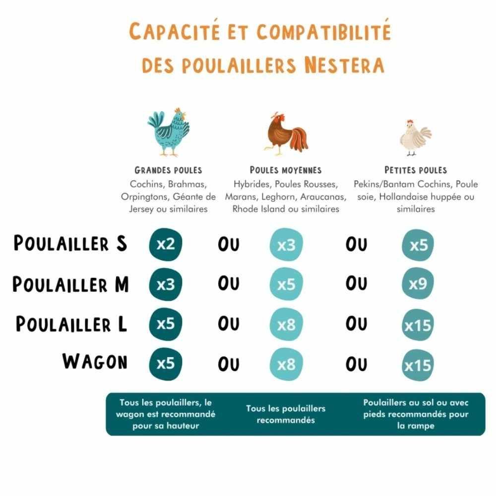 Poulailler recyclé au sol pour 5 à 9 poules modèle moyen NESTERA