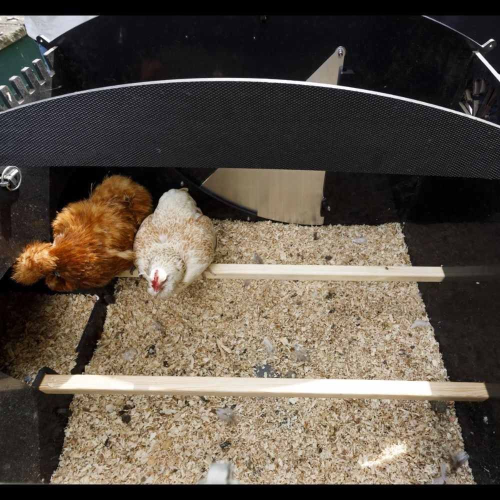 Poulailler recyclé surélevé pour 8 à 15 poules grand modèle NESTERA