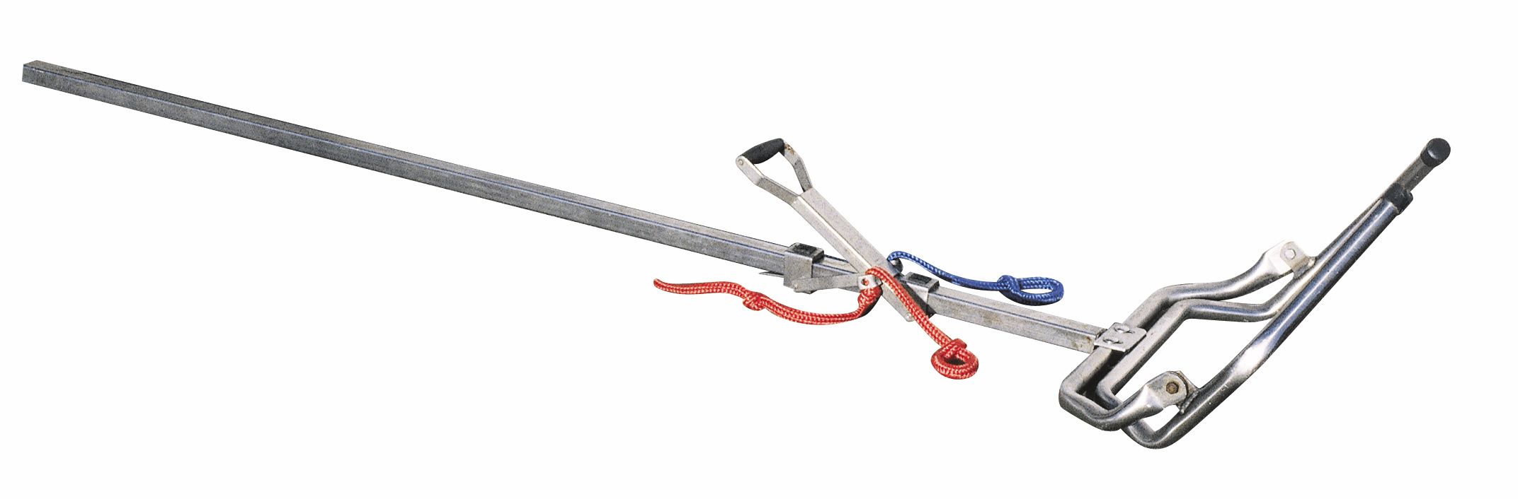 Vêleuse Vink alternative race à viande