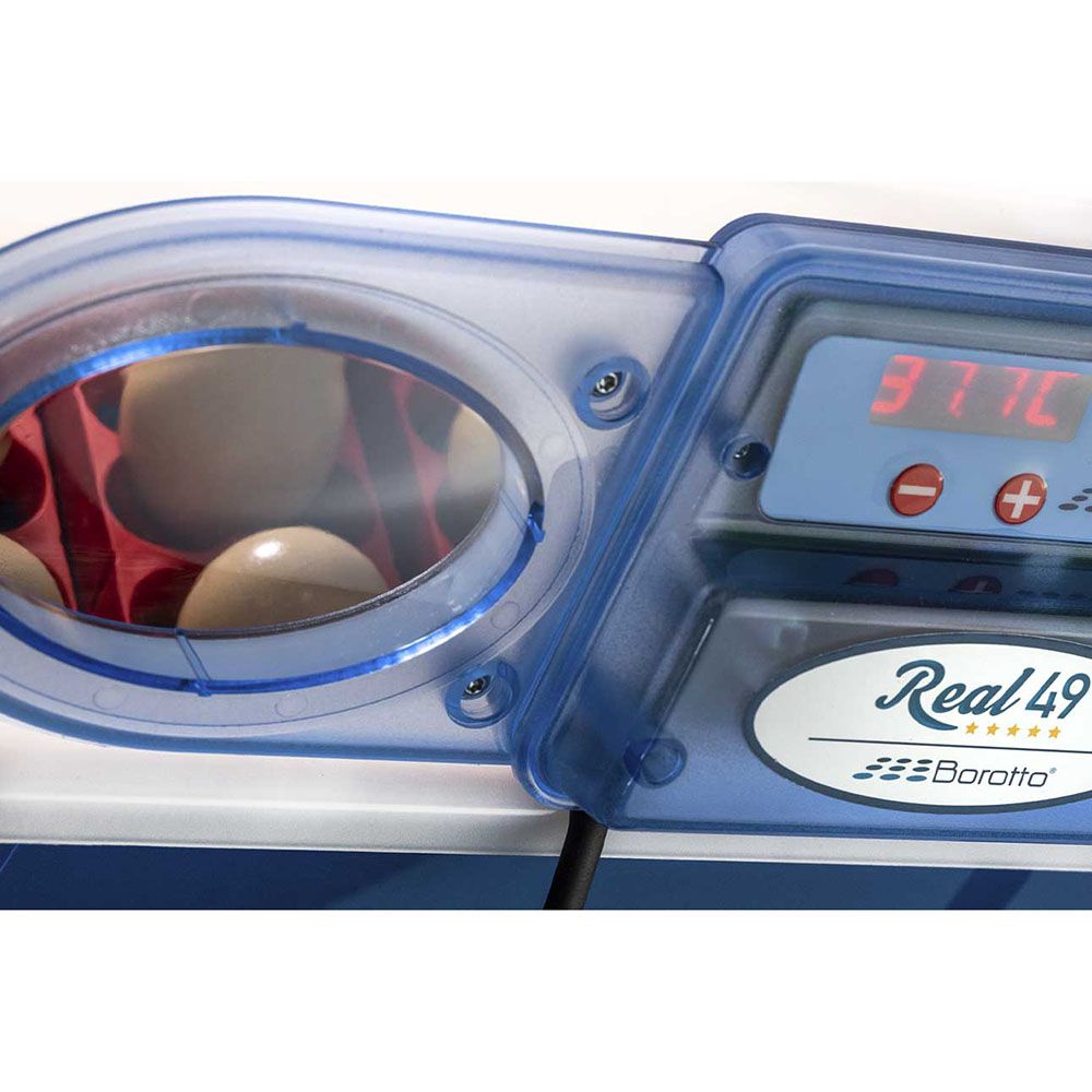 Couveuse REAL 49 œufs BOROTTO semi-automatique
