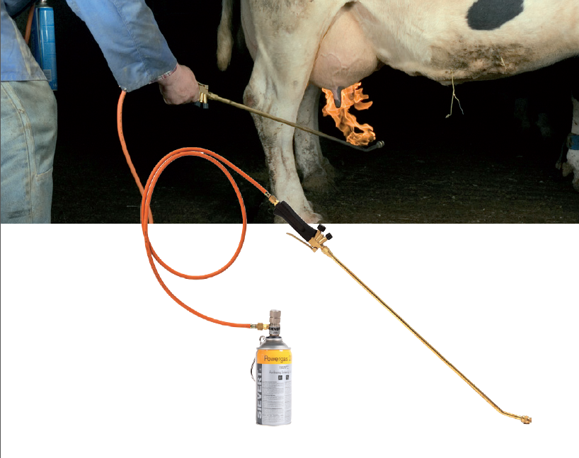 Epilateur lance thermique complet